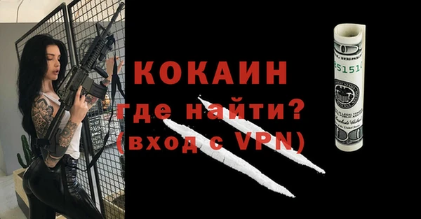твердый Арсеньев