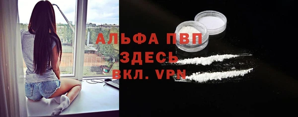 твердый Арсеньев