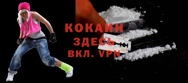 твердый Арсеньев