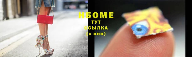 твердый Арсеньев