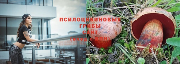 a pvp Аркадак